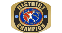 2024 Virginia District 14 8-10 Softball Champions
