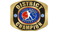 2024 Virginia District 14 8-10 Baseball Champions