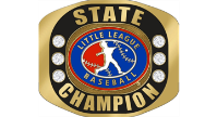 2024 Virginia Baseball Little League State Champions